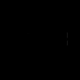 Company-logo-4